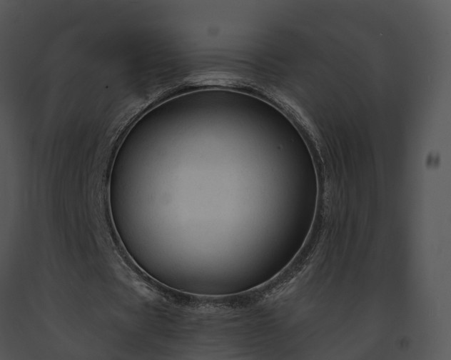 X0000091690529200708301542