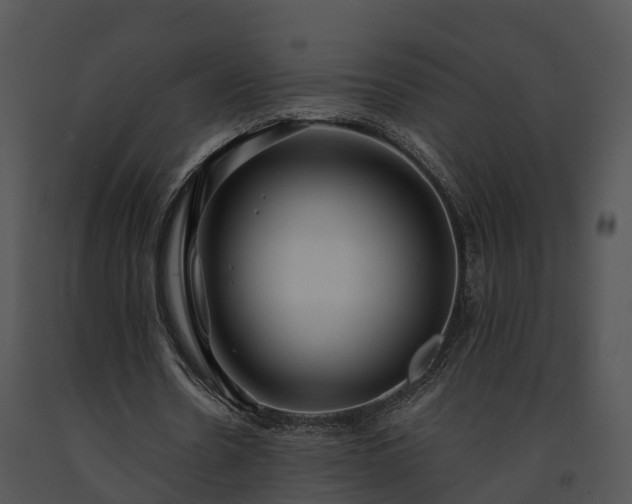 X0000091690530200708301542