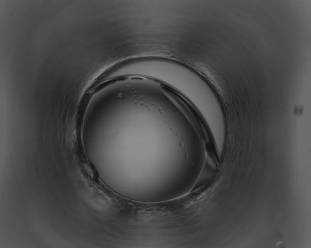 X0000091690532200708301542