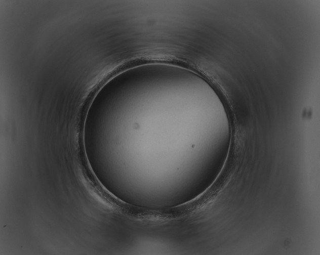 X0000091690533200708301542