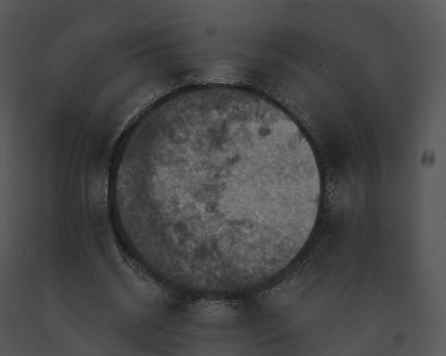 X0000091690534200708301542