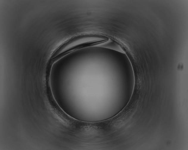 X0000091690535200708301542