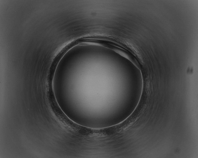 X0000091690536200708301542