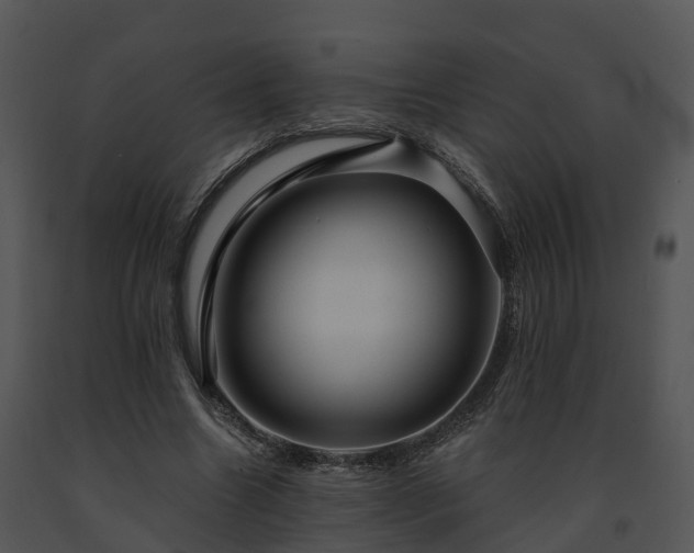 X0000091690538200708301542