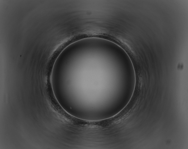 X0000091690539200708301542