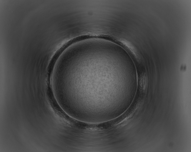 X0000091690540200708301542