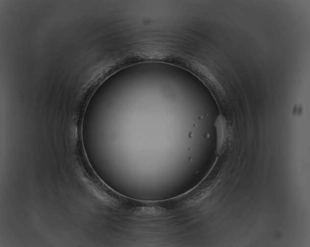 X0000091690541200708301542
