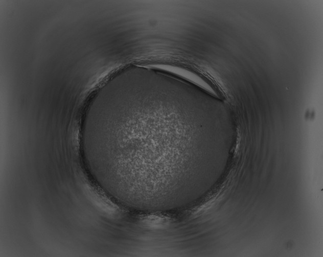 X0000091690542200708301542