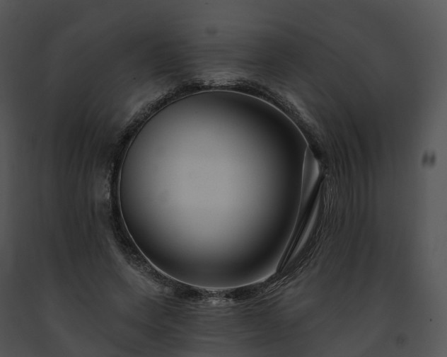 X0000091690543200708301542
