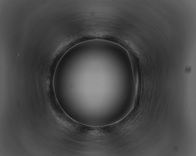 X0000091690544200708301542