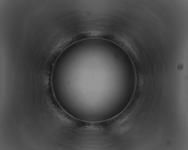 X0000091690545200708301542