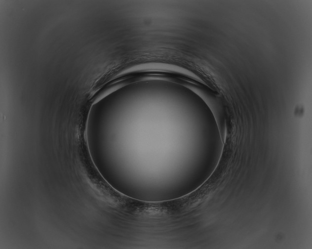 X0000091690546200708301542