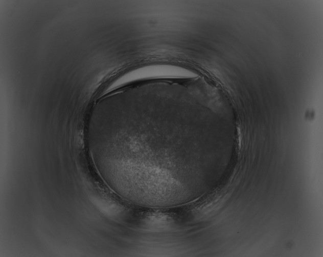 X0000091690547200708301542