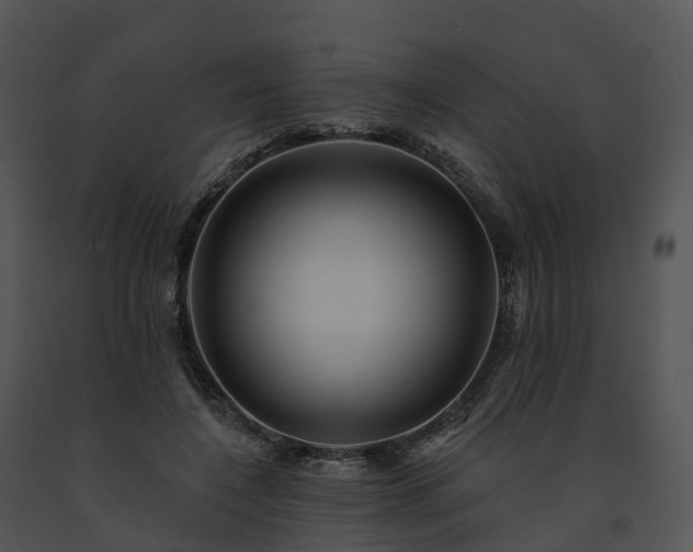 X0000091690548200708301542