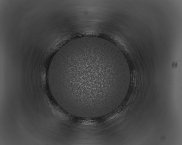 X0000091690550200708301542