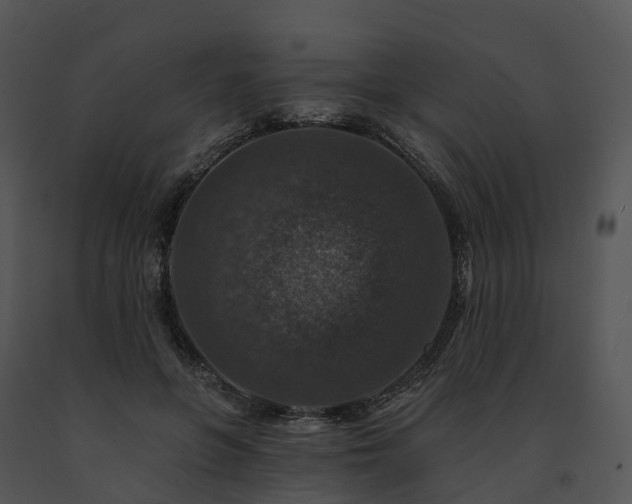 X0000091690551200708301542
