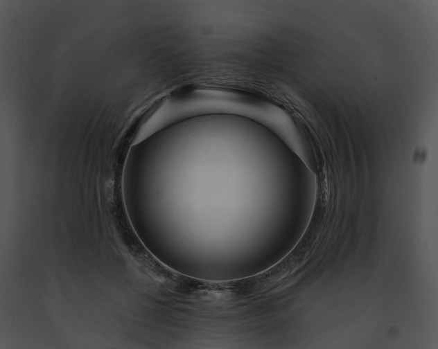X0000091690552200708301542