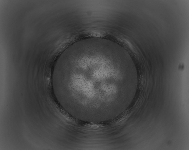 X0000091690553200708301542