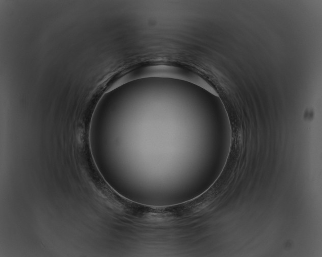 X0000091690556200708301542