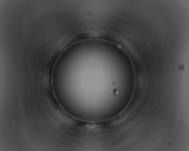 X0000091690557200708301542