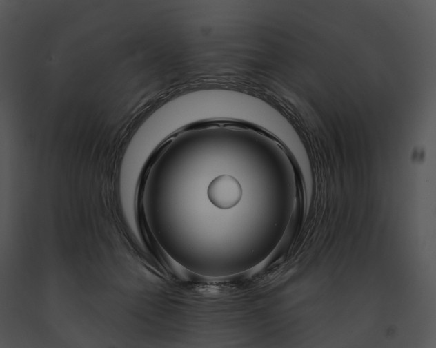 X0000091690558200708301542