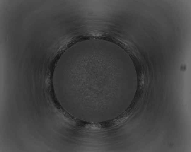 X0000091690559200708301542