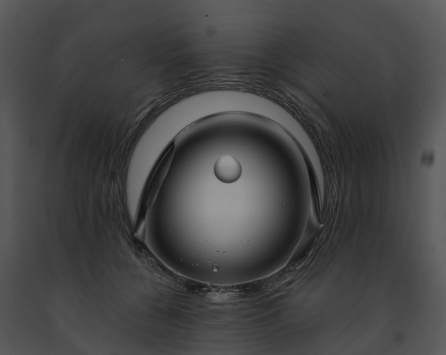 X0000091690560200708301542