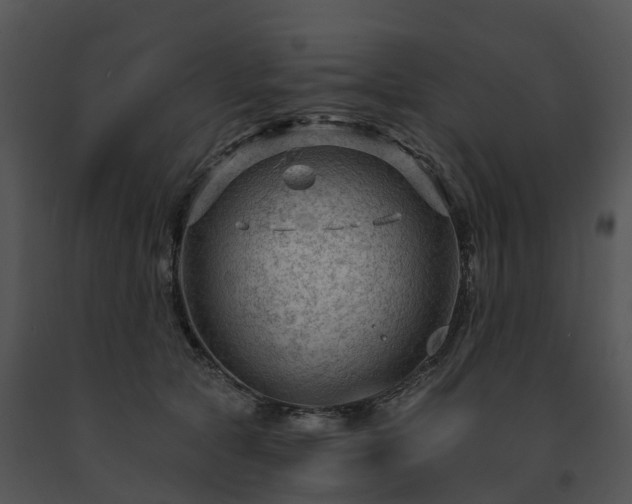 X0000091690561200708301542