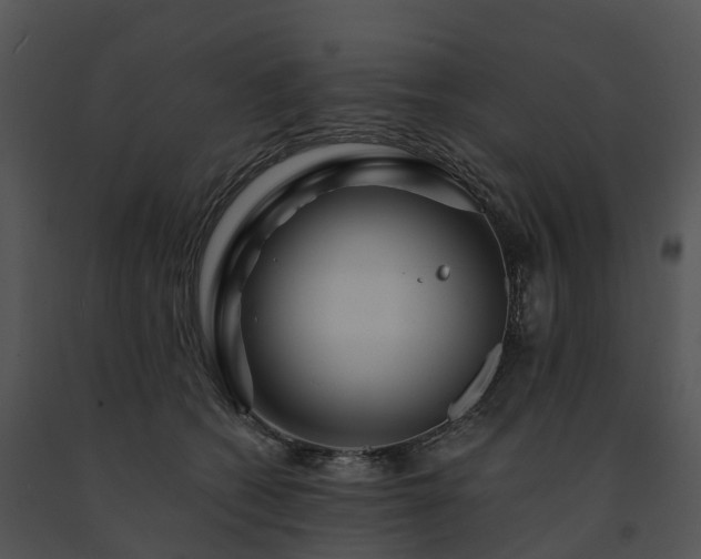 X0000091690562200708301542