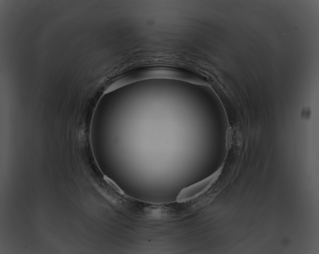 X0000091690564200708301542
