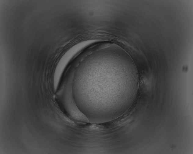 X0000091690566200708301542