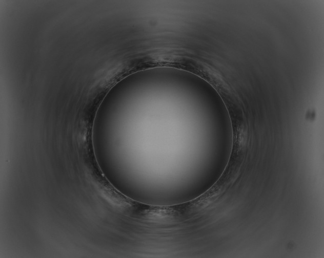 X0000091690567200708301542