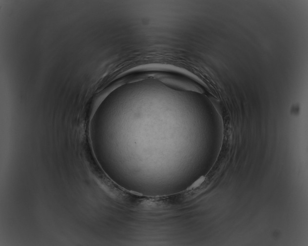 X0000091690568200708301543