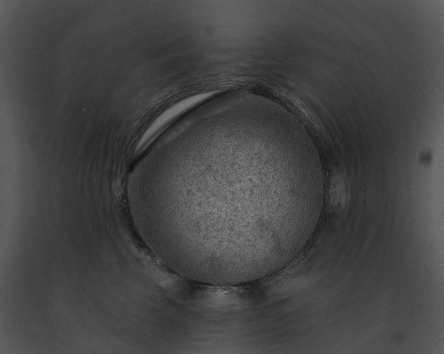 X0000091690569200708301543