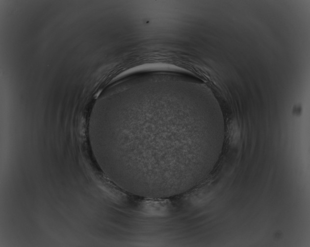 X0000091690571200708301543