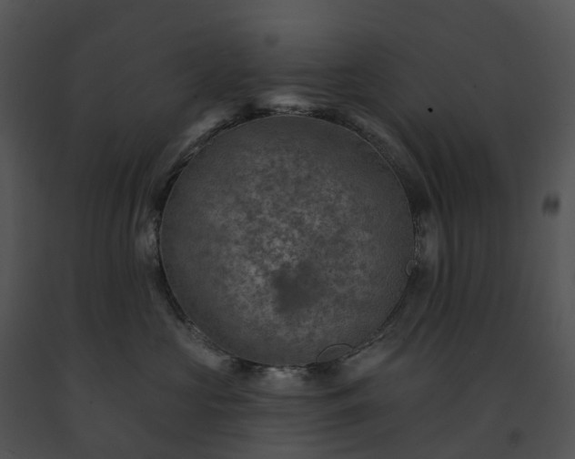 X0000091690573200708301543