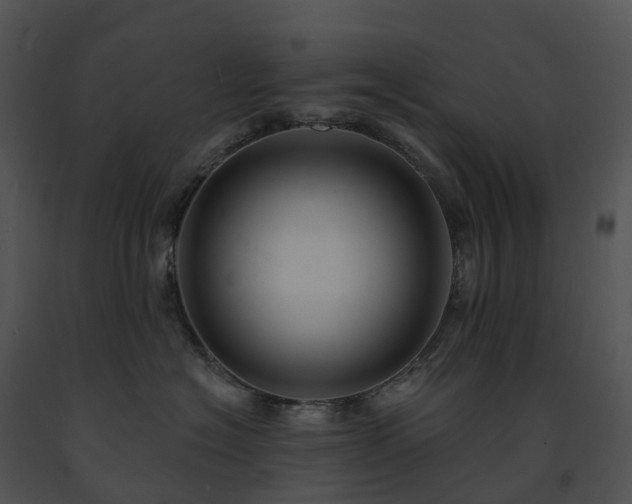 X0000091690574200708301543