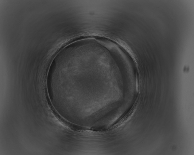 X0000091690577200708301542