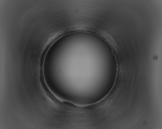 X0000091690578200708301542