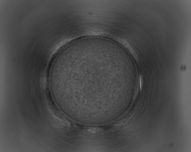 X0000091690579200708301542