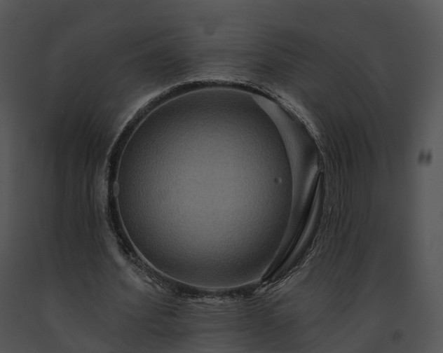 X0000091690580200708301542