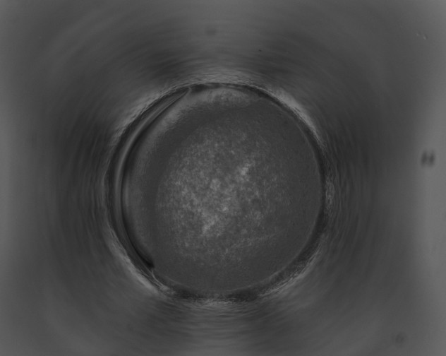 X0000091690581200708301542