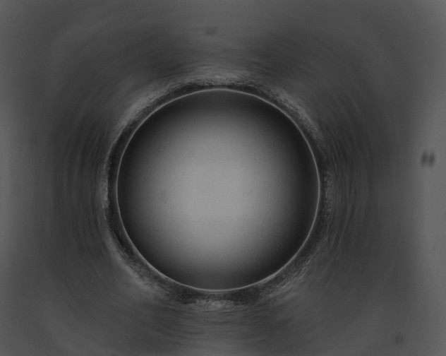 X0000091690582200708301542
