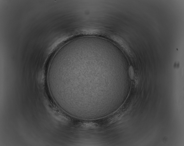 X0000091690583200708301542