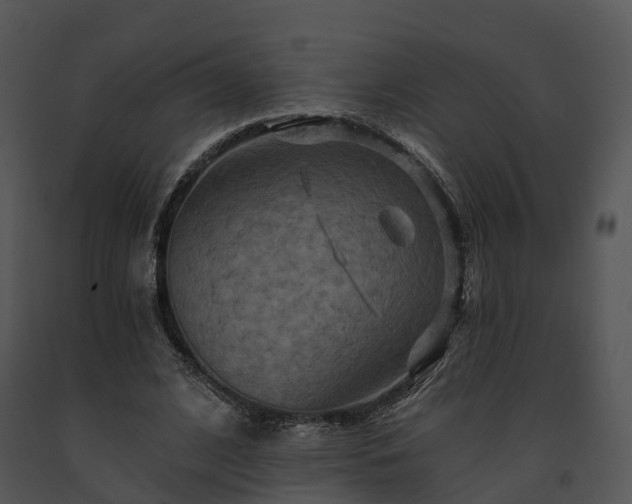 X0000091690584200708301542