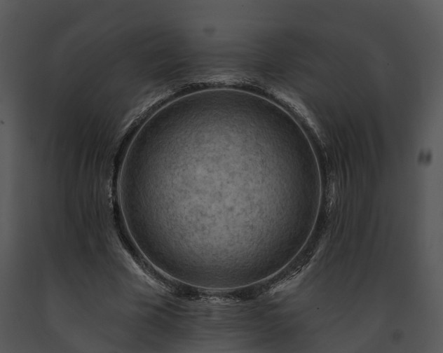 X0000091690585200708301542
