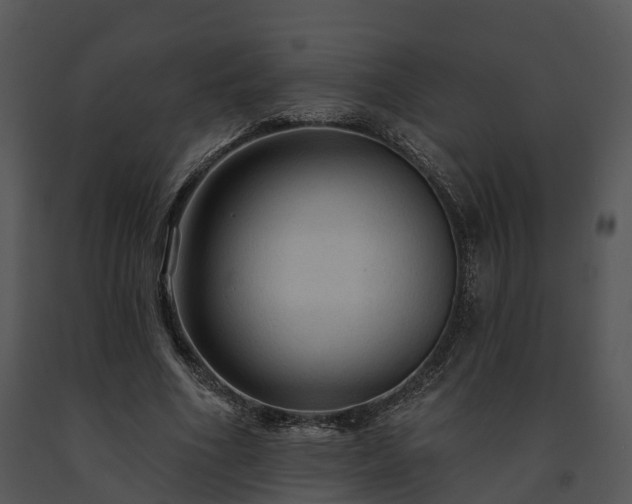 X0000091690586200708301542