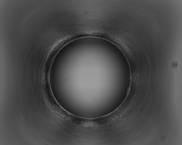 X0000091690587200708301542