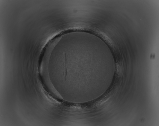 X0000091690588200708301542