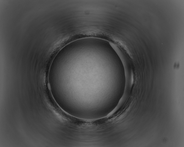 X0000091690589200708301542